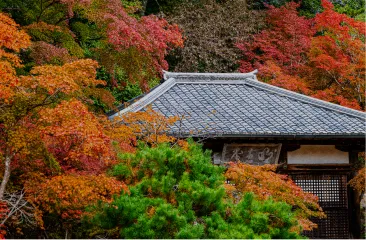 高雄山の風景
