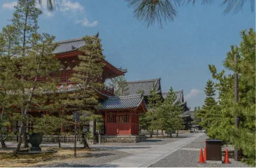 妙心寺の風景