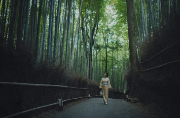嵐山の風景