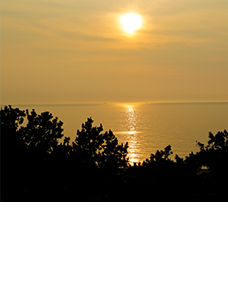 あわじ浜離宮
